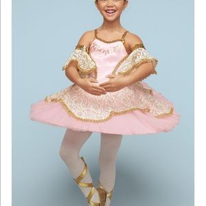 Prima ballerina chasing fireflies costume size 10